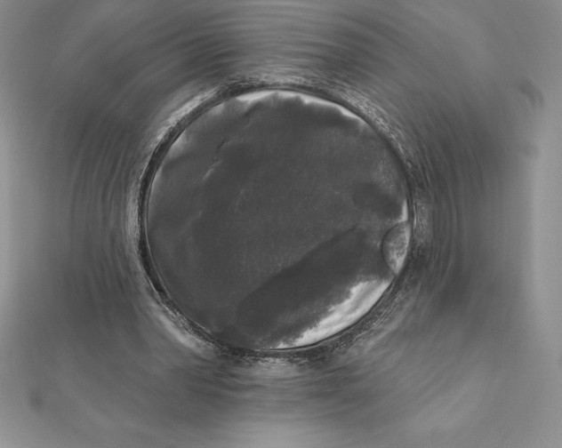 X0000112360390200909031914