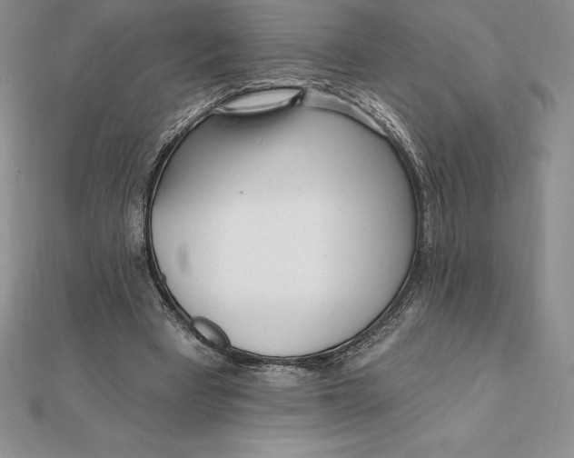X0000112360393200909031914