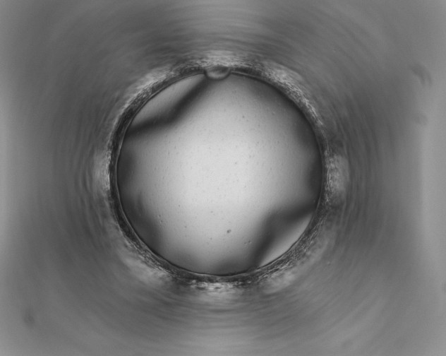 X0000112360395200909031914