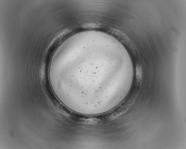 X0000112360396200909031914