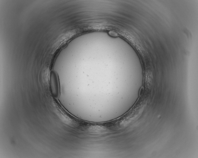 X0000112360397200909031914
