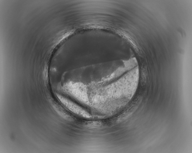 X0000112360398200909031914