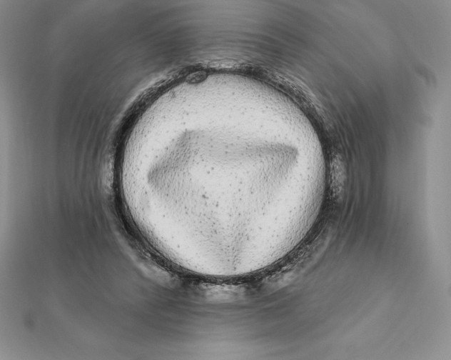 X0000112360400200909031914