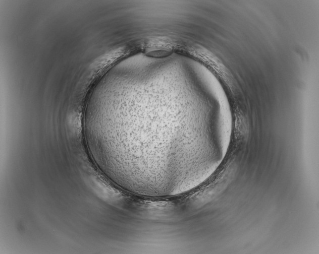 X0000112360401200909031914