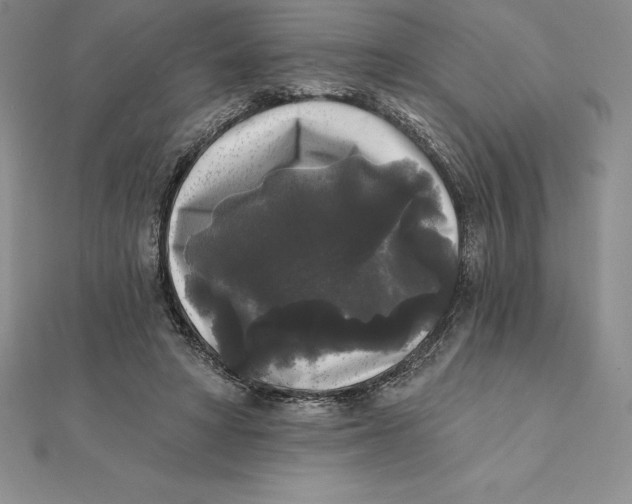 X0000112360402200909031914