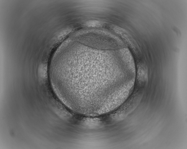 X0000112360403200909031914