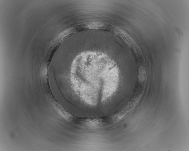 X0000112360405200909031914