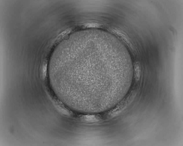 X0000112360406200909031914