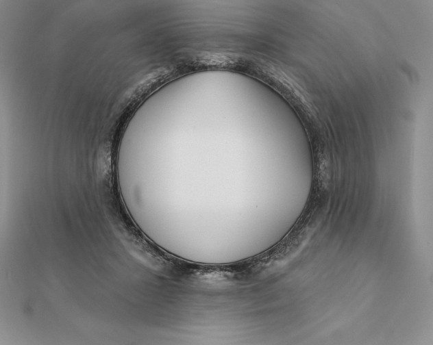 X0000112360407200909031914