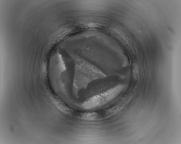 X0000112360410200909031914