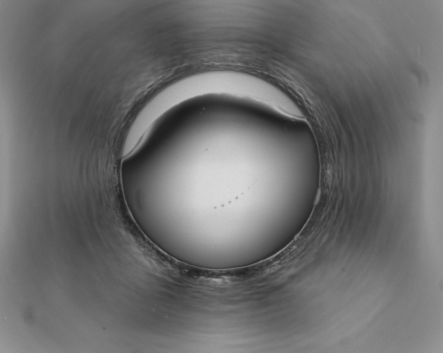 X0000112360411200909031914