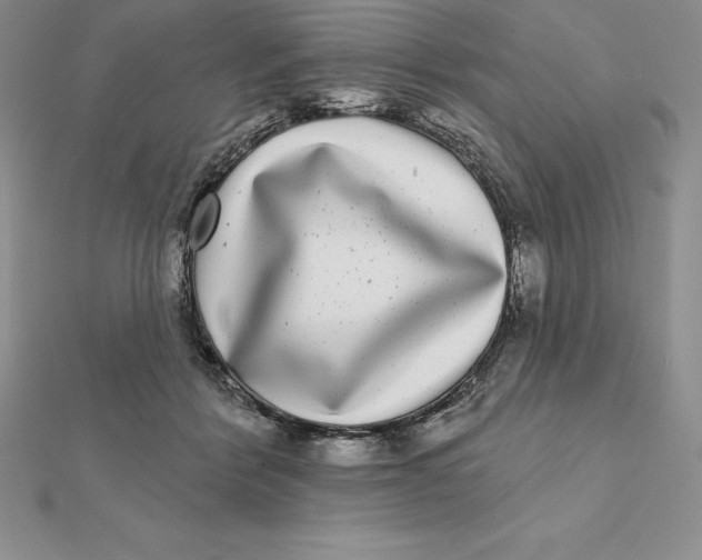 X0000112360412200909031914