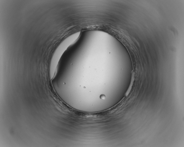X0000112360413200909031914