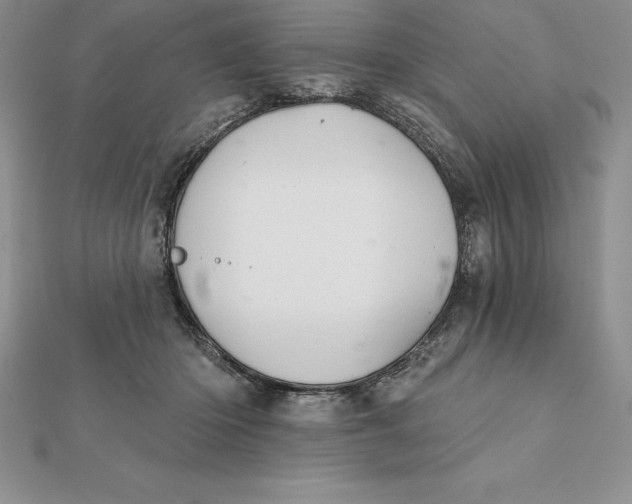 X0000112360414200909031914