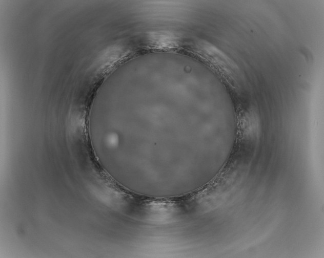 X0000112360415200909031914