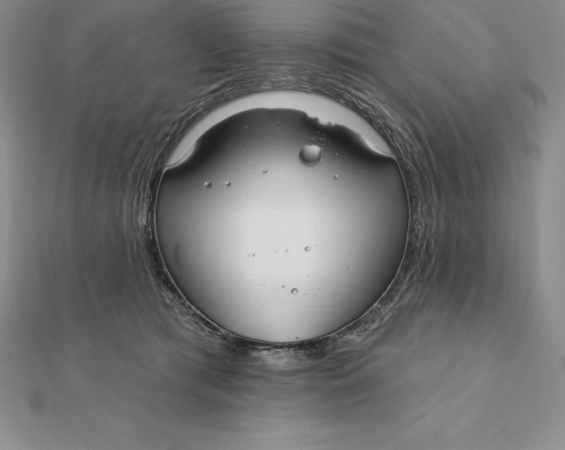 X0000112360417200909031914