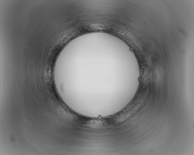 X0000112360418200909031914