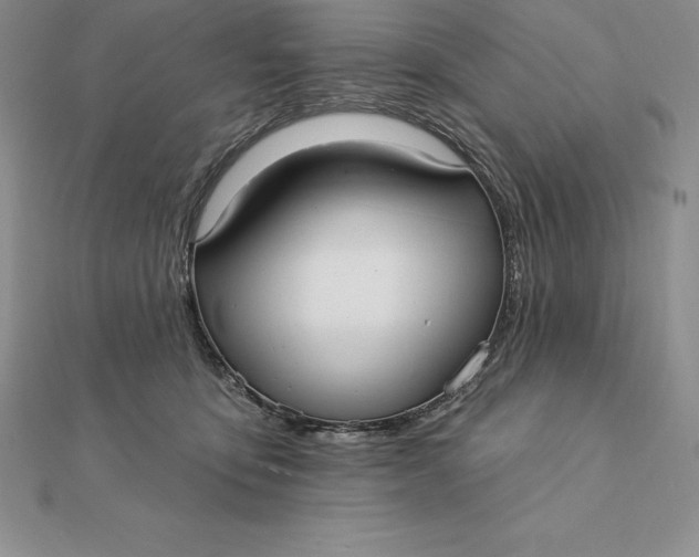 X0000112360419200909031914