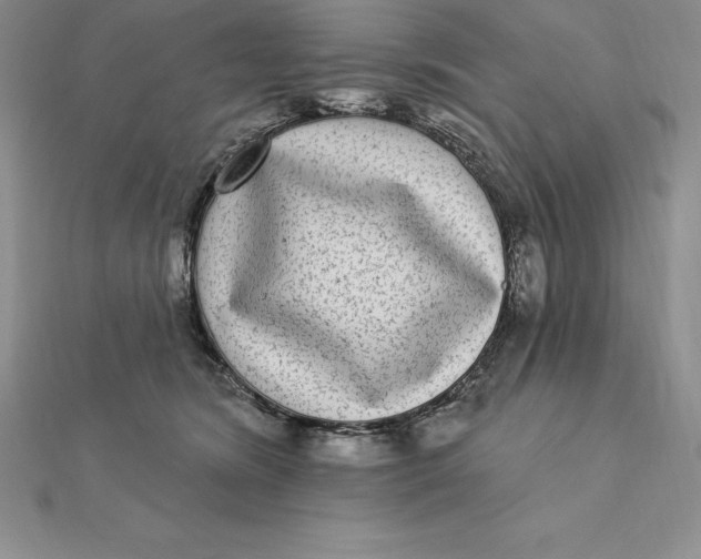 X0000112360420200909031914