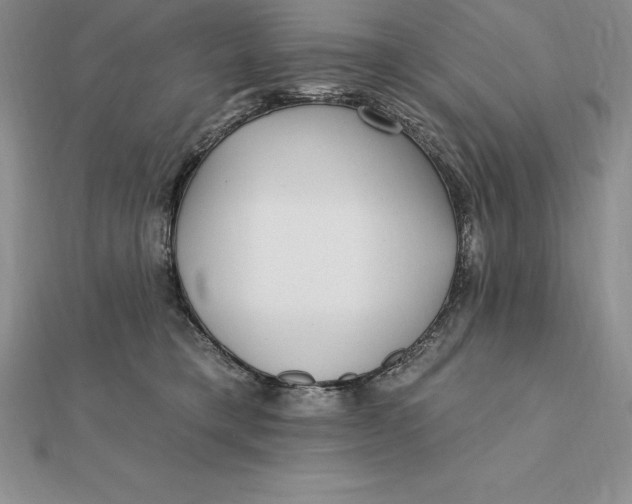X0000112360421200909031914