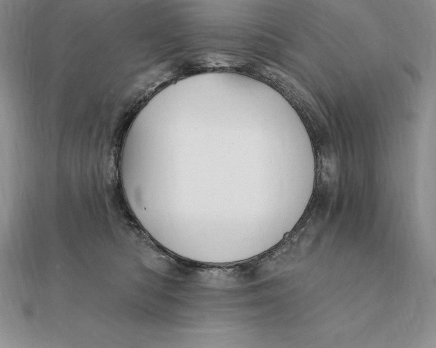 X0000112360422200909031914