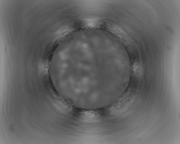 X0000112360423200909031914