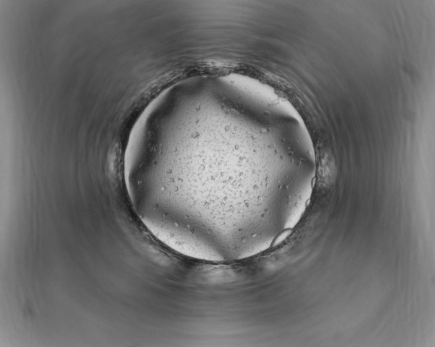 X0000112360424200909031914