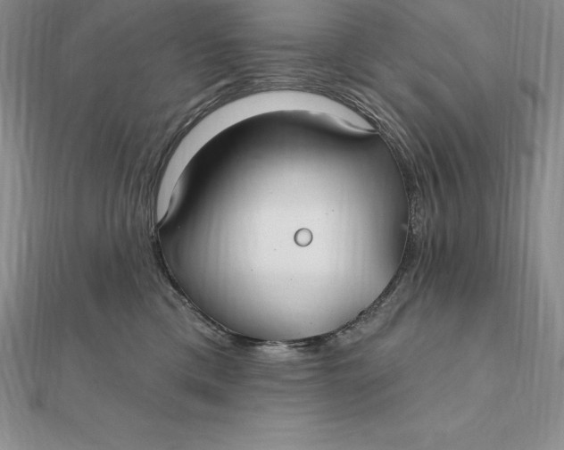 X0000112360425200909031914
