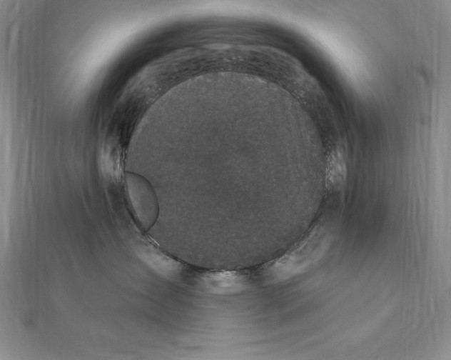 X0000112360431200909031914