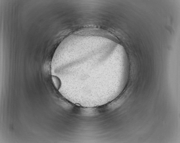 X0000112360432200909031914