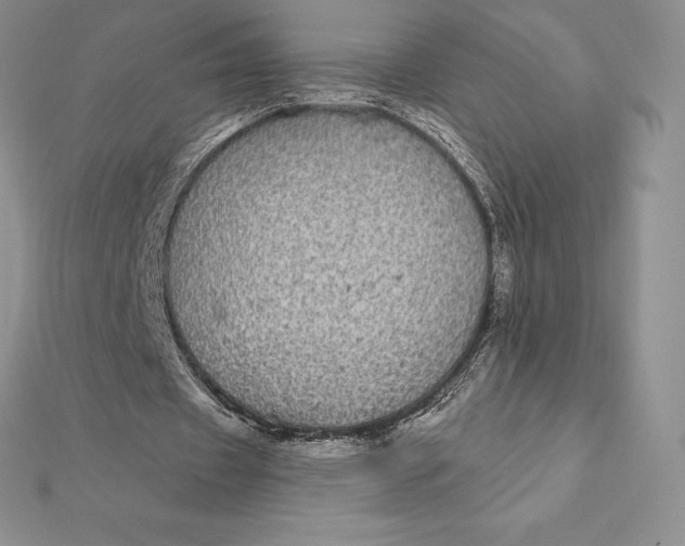 X0000112360433200909031913