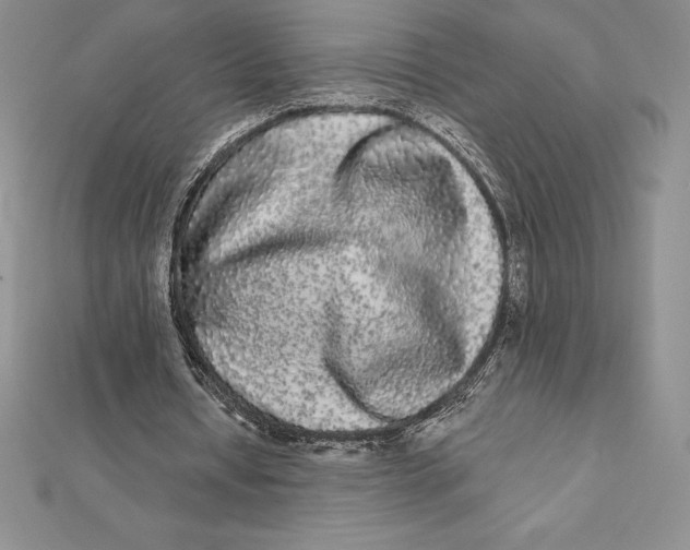 X0000112360434200909031913