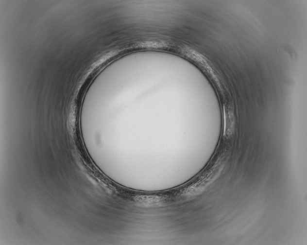 X0000112360435200909031913