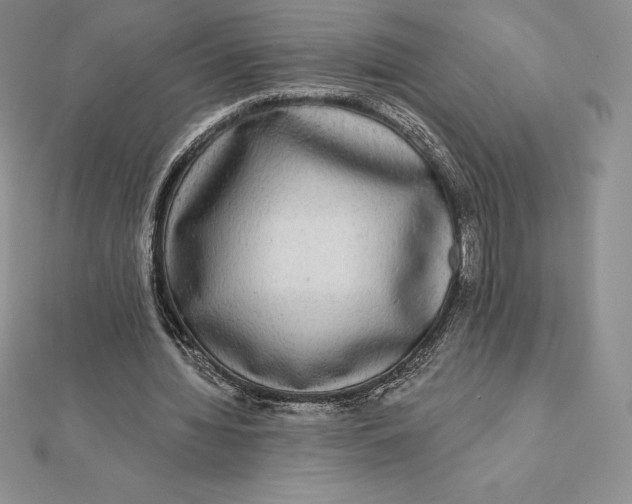 X0000112360436200909031913