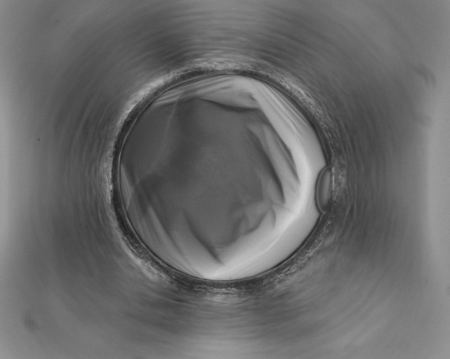 X0000112360438200909031913