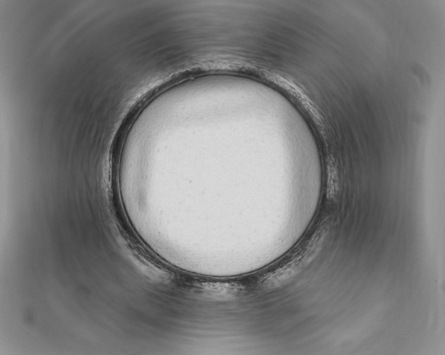 X0000112360439200909031913