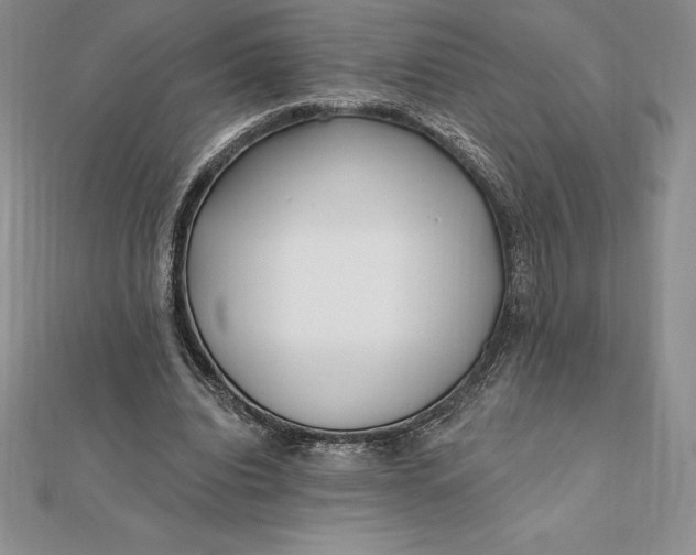 X0000112360440200909031913