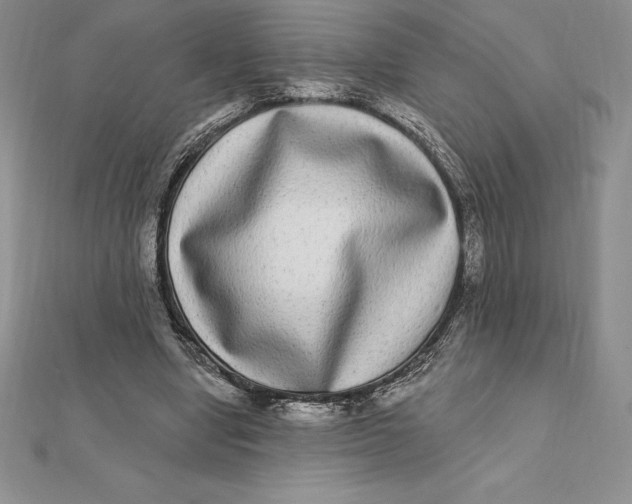 X0000112360442200909031913