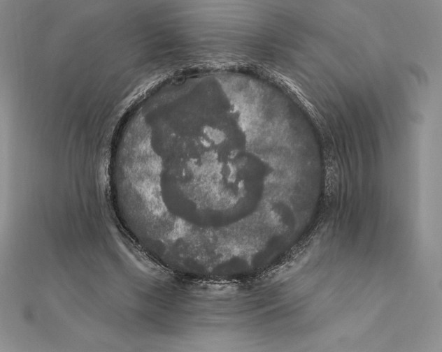 X0000112360443200909031913