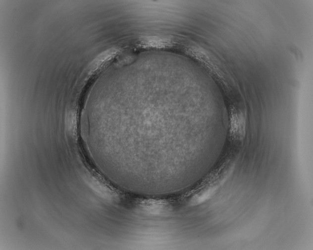 X0000112360444200909031913