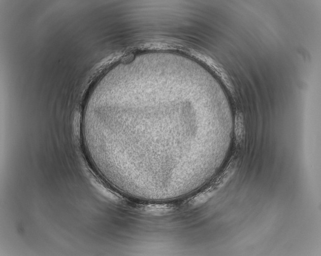 X0000112360445200909031913