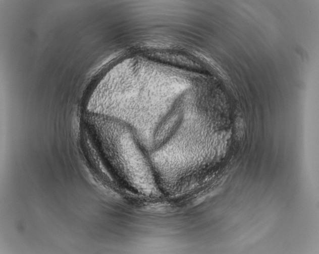 X0000112360446200909031913