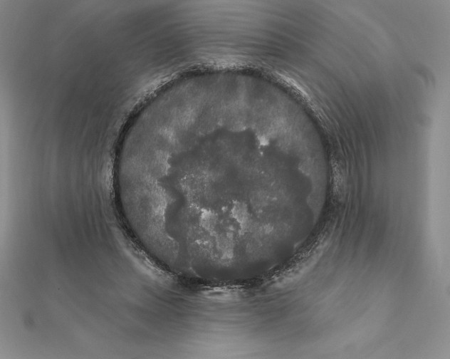 X0000112360447200909031913