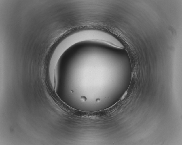 X0000112360448200909031913