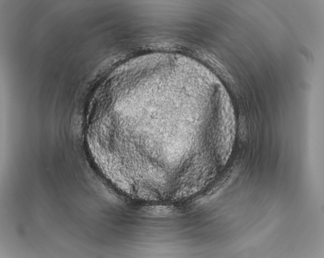 X0000112360449200909031913