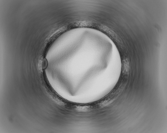 X0000112360450200909031913