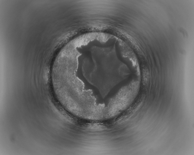 X0000112360451200909031913