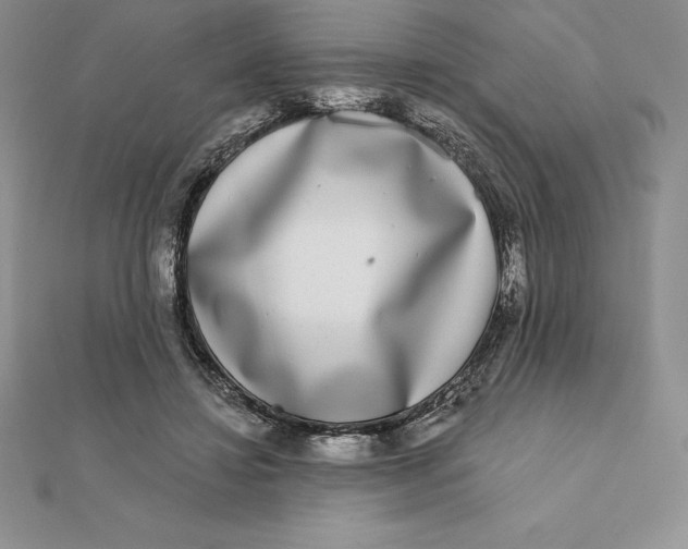 X0000112360452200909031913