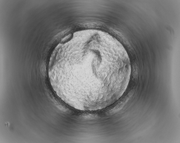 X0000112360453200909031913