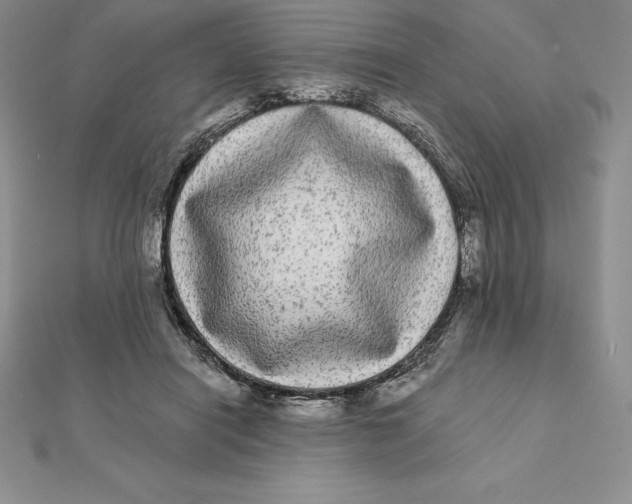 X0000112360454200909031913